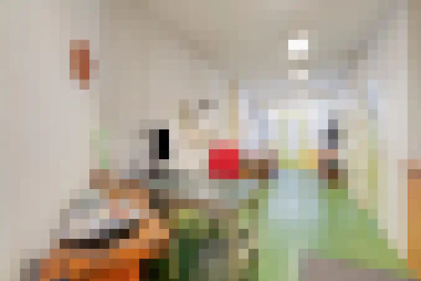 Sleutelbloemstraat 63 Amsterdam thumbnail 10