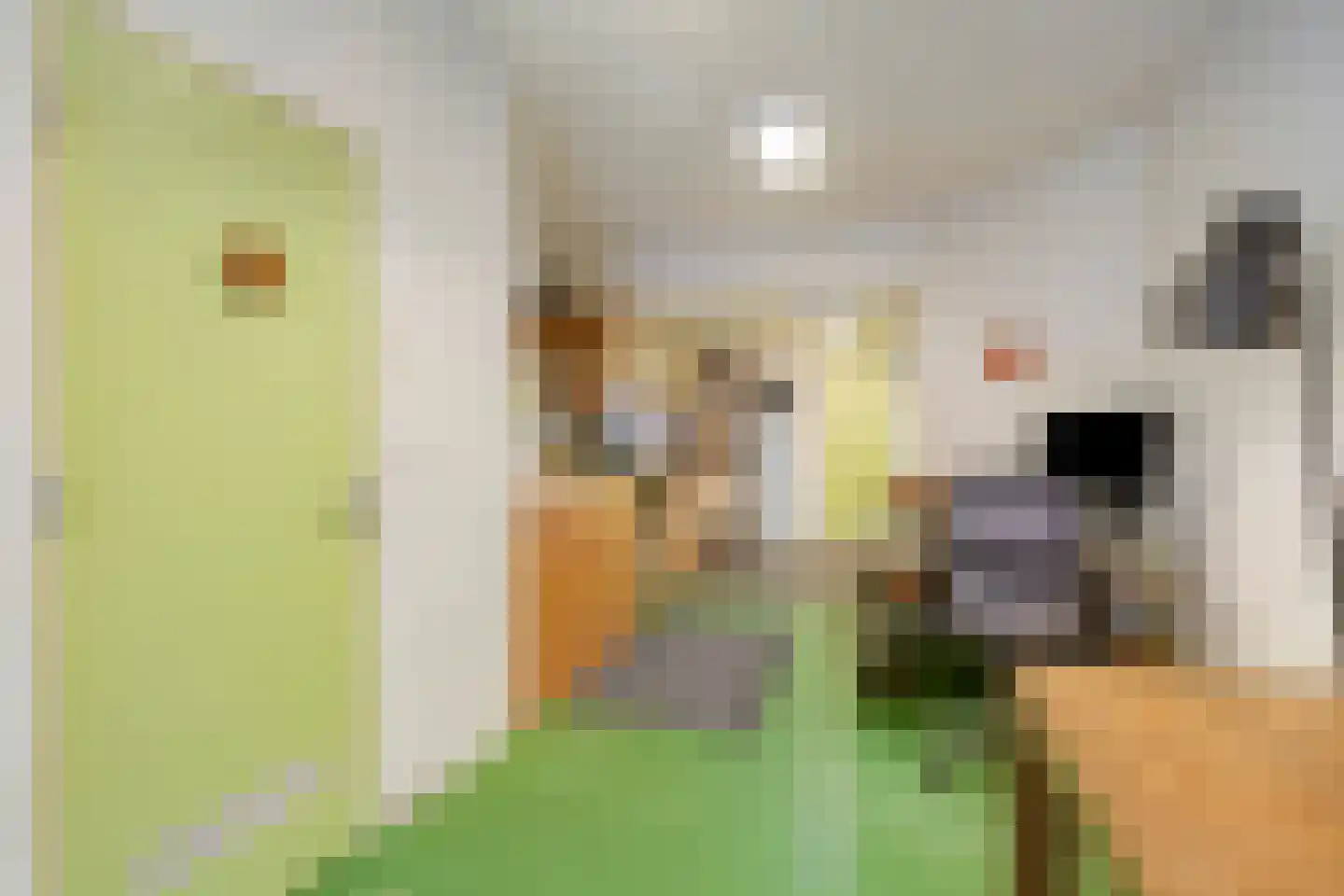 Sleutelbloemstraat 63 Amsterdam thumbnail 15