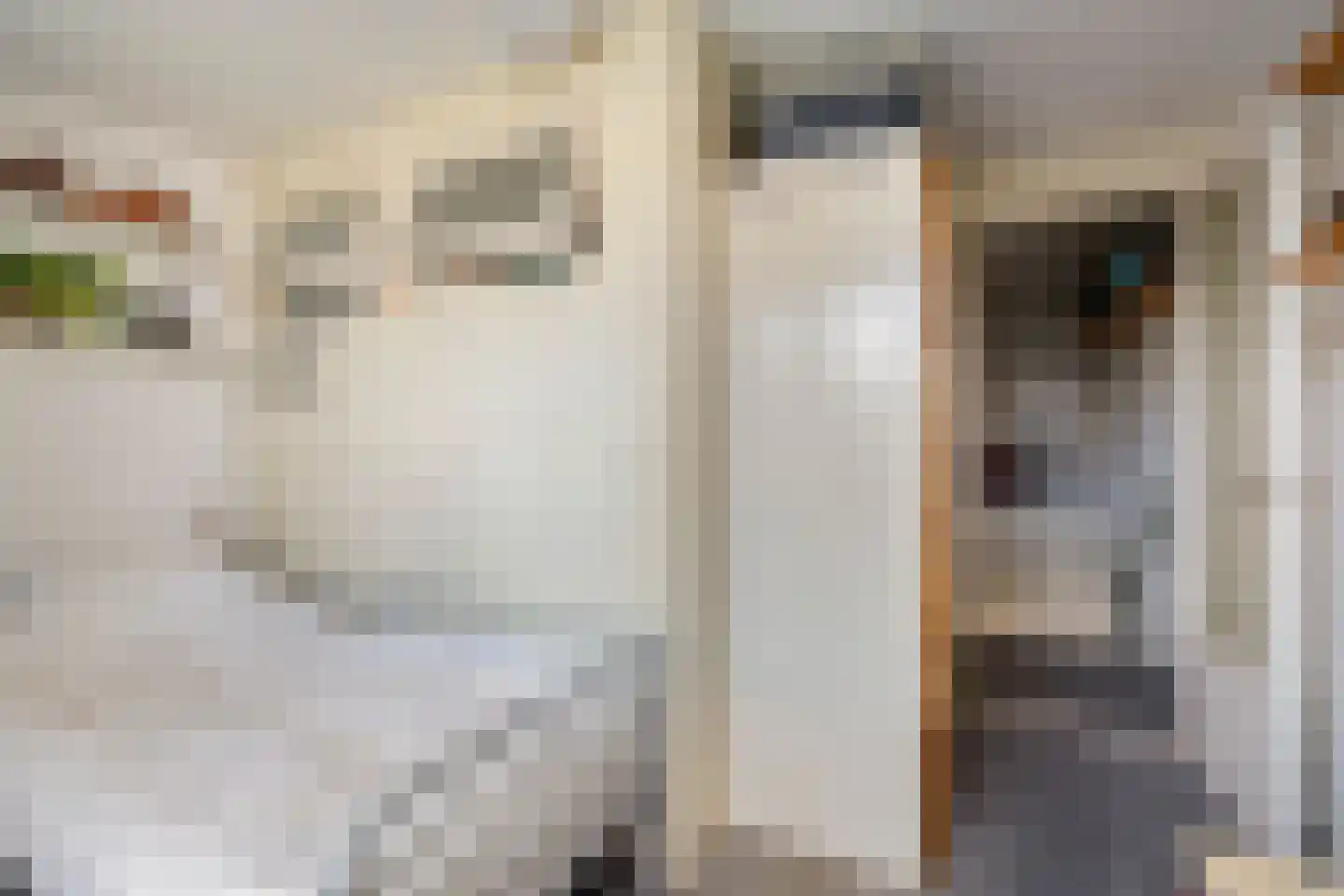 Sleutelbloemstraat 63 Amsterdam thumbnail 30