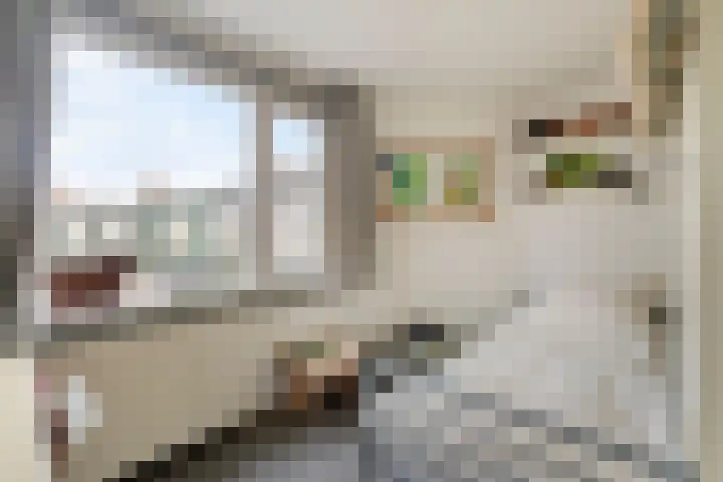 Sleutelbloemstraat 63 Amsterdam thumbnail 32