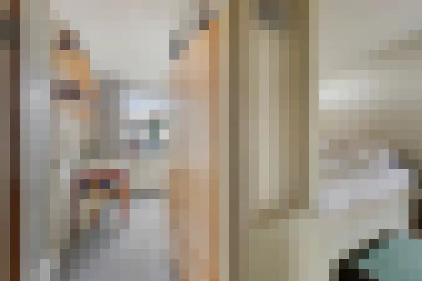 Sleutelbloemstraat 63 Amsterdam thumbnail 34