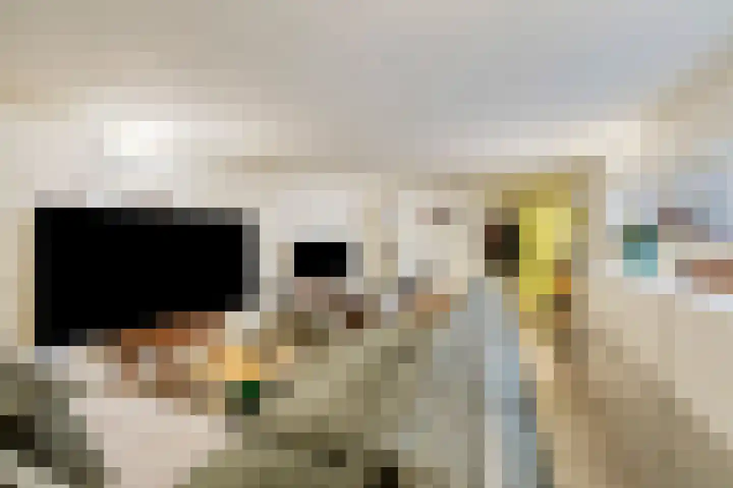 Sleutelbloemstraat 63 Amsterdam thumbnail 6