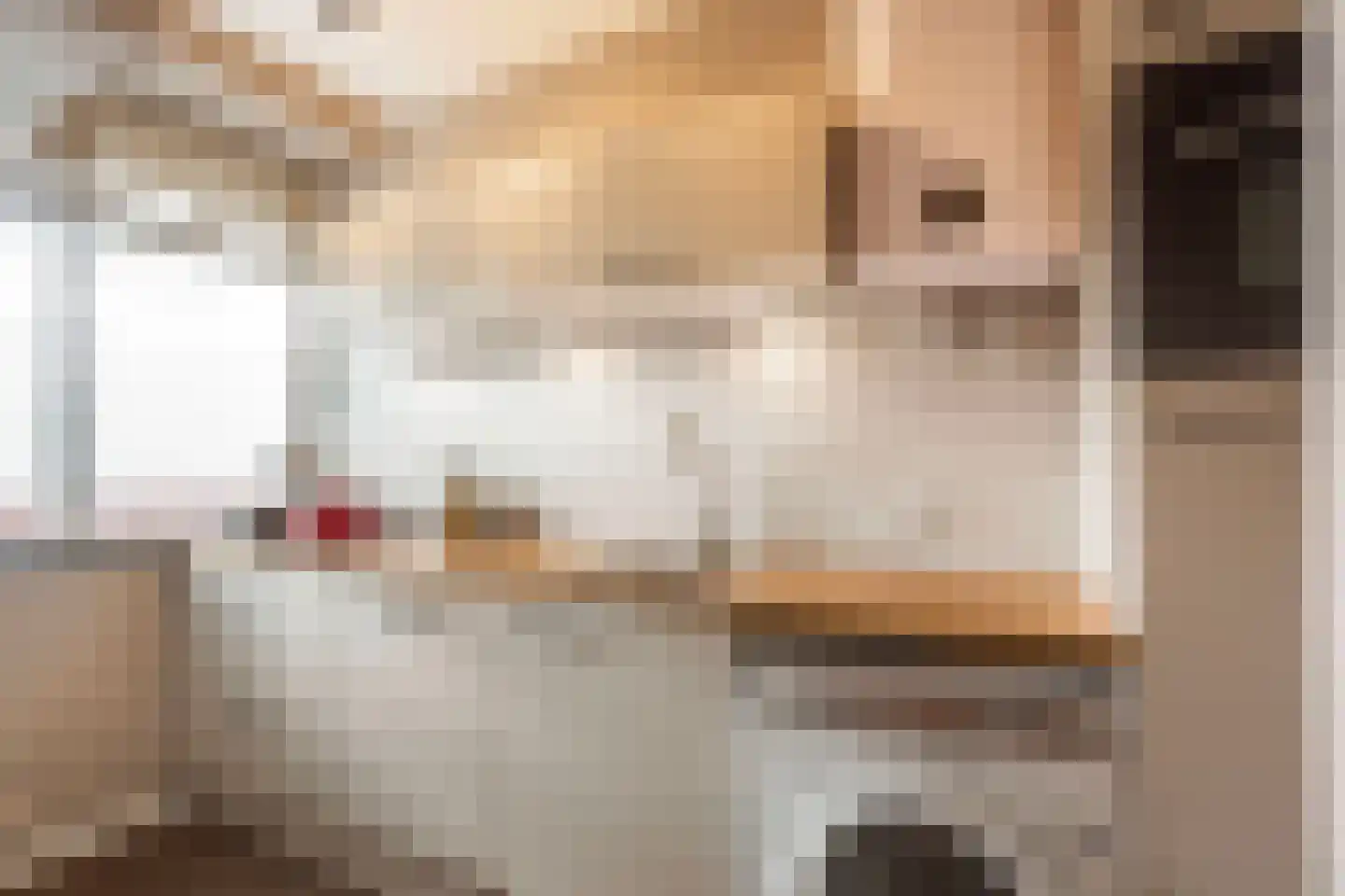Sleutelbloemstraat 65 Arnhem thumbnail 11