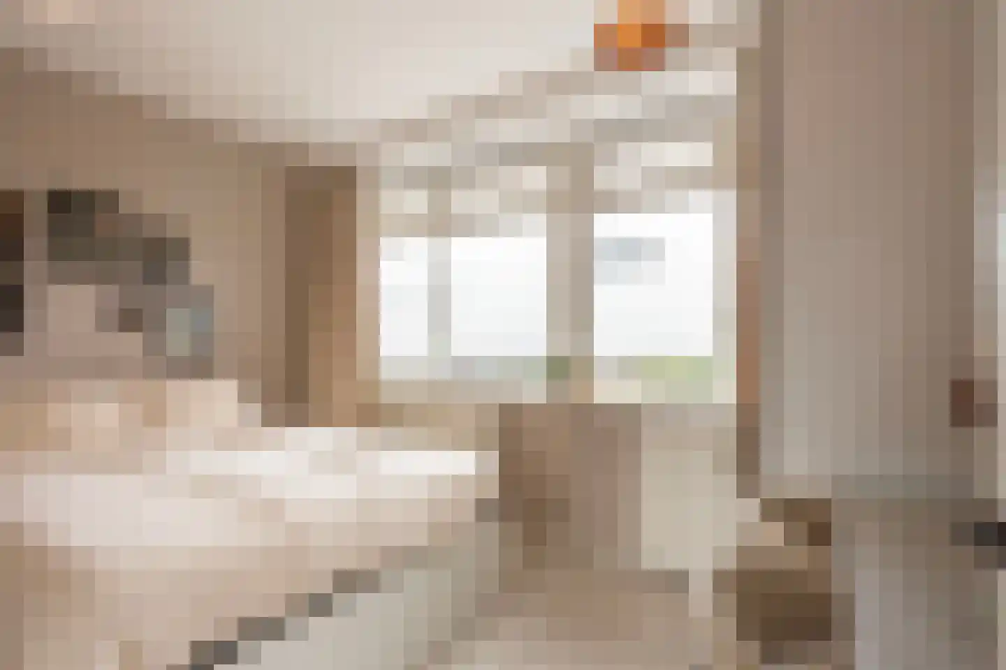 Sleutelbloemstraat 65 Arnhem thumbnail 15