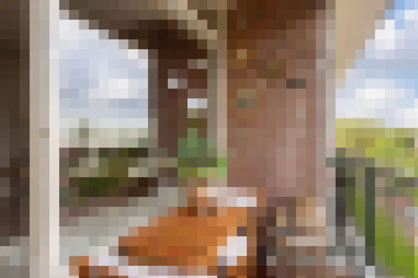 Sleutelbloemstraat 65 Arnhem thumbnail 22