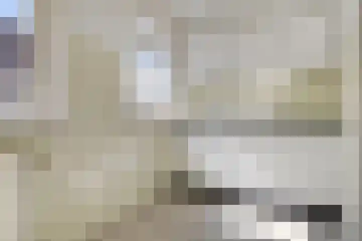 Sleutelbloemstraat 69 Amsterdam thumbnail 10