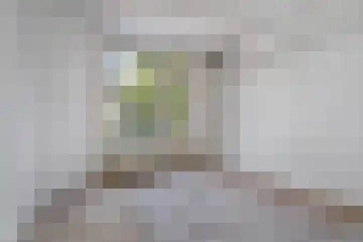 Sleutelbloemstraat 69 Amsterdam thumbnail 7