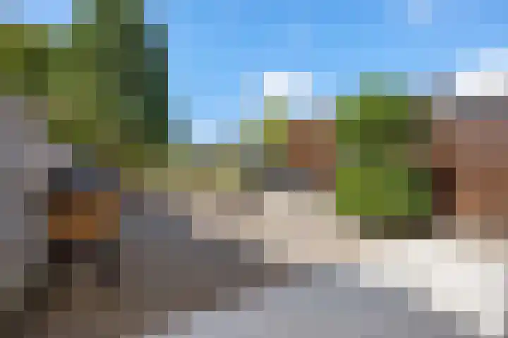 Sleutelbloemstraat 7 Almere thumbnail 28