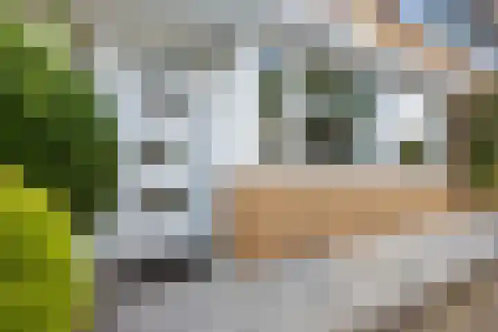 Sleutelbloemstraat 7 Almere thumbnail 31