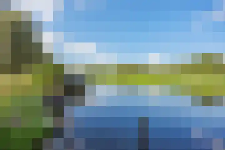 Sleutelbloemstraat 7 Almere thumbnail 38