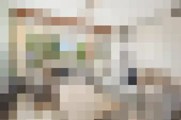 Sleutelbloemstraat 7 Almere thumbnail 6