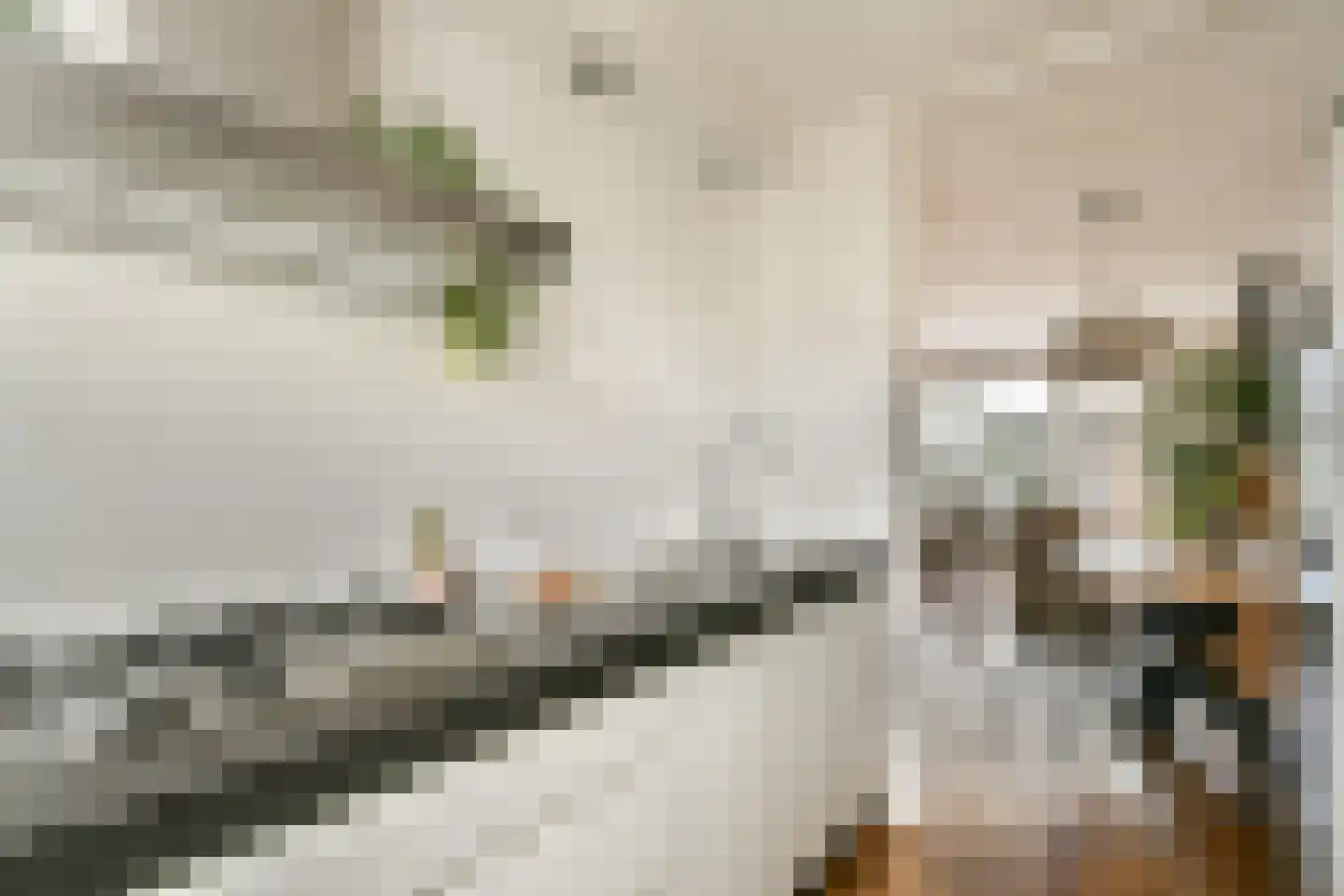 Sleutelbloemstraat 7 Voorhout thumbnail 7
