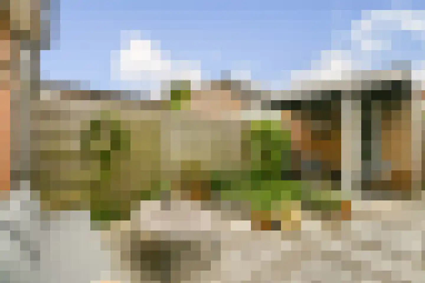 Sleutelbloemstraat 7 Voorhout thumbnail 8