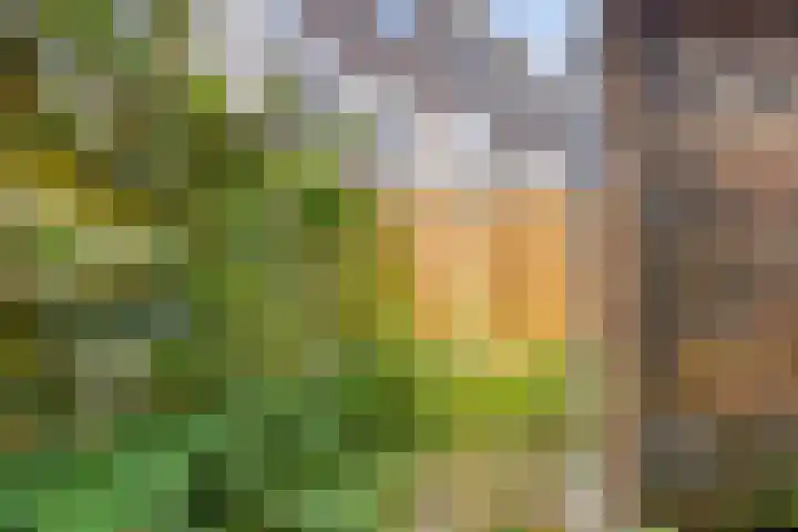 Sleutelbloemstraat 71 1 Amsterdam thumbnail 16