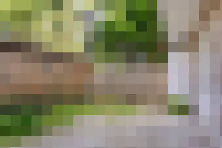 Sleutelbloemstraat 71 1 Amsterdam foto 2