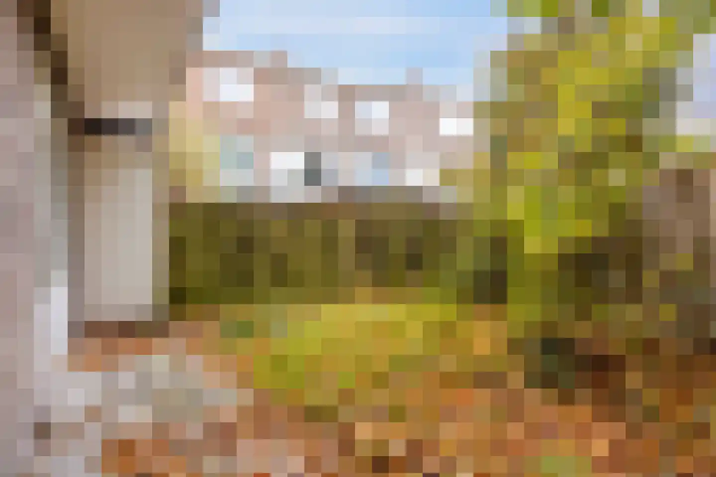 Sleutelbloemstraat 73 1 Amsterdam thumbnail 5