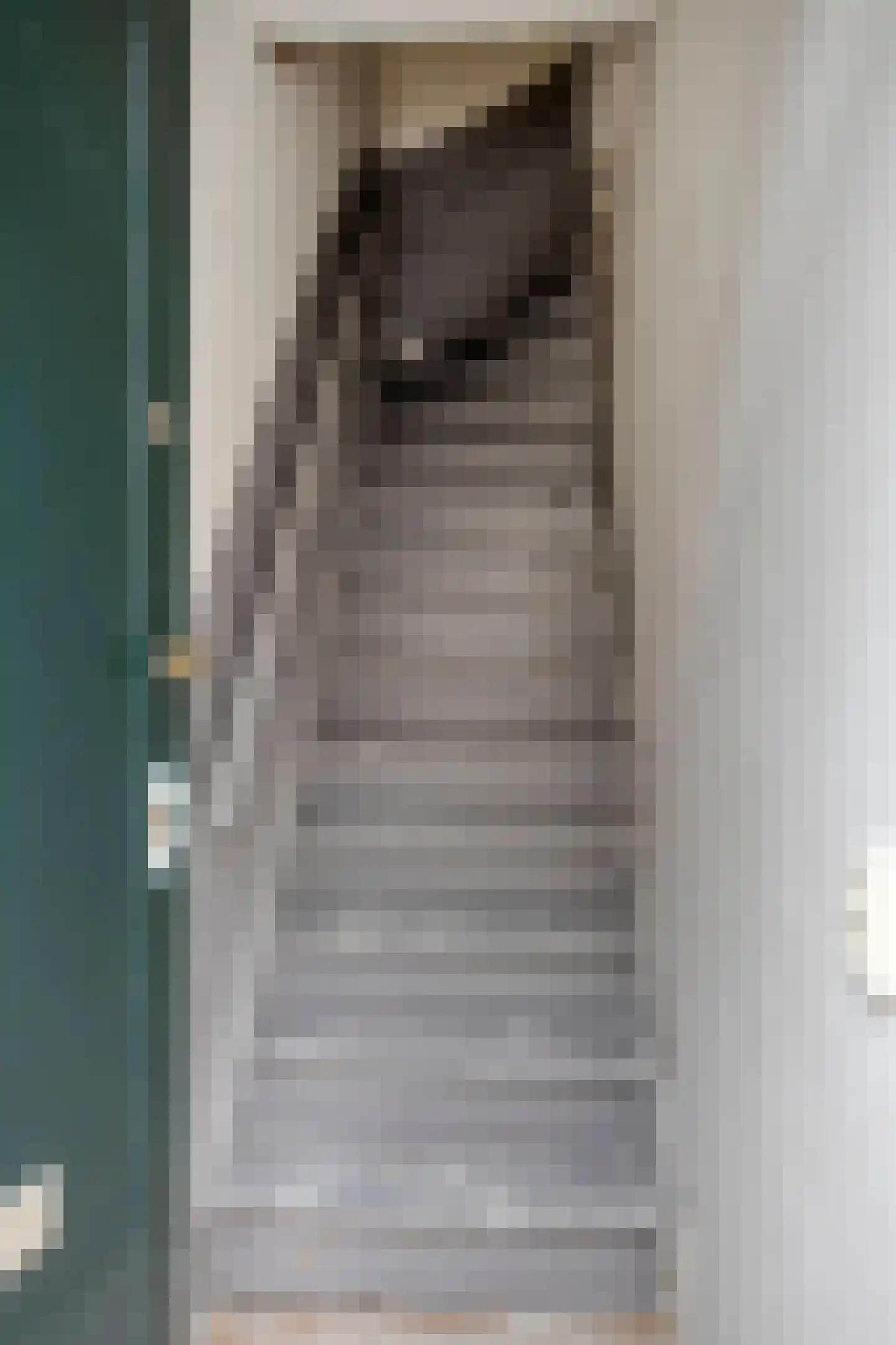 Sleutelbloemstraat 75 Amsterdam thumbnail 28