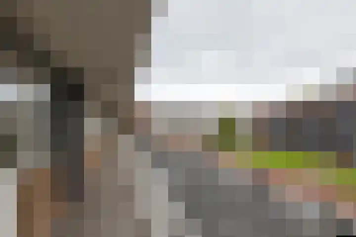 Sleutelbloemstraat 9 Arnhem thumbnail 12