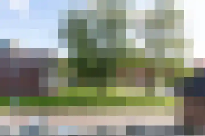 Sleutelbloemstraat 9 Arnhem thumbnail 23