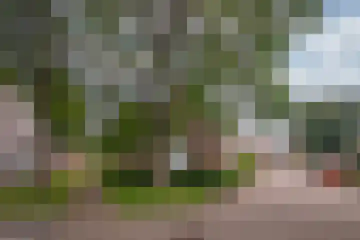 Sleuteldaal 16 Maastricht thumbnail 16