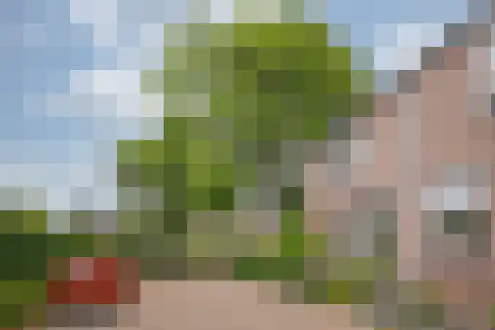 Sleuteldaal 16 Maastricht thumbnail 17