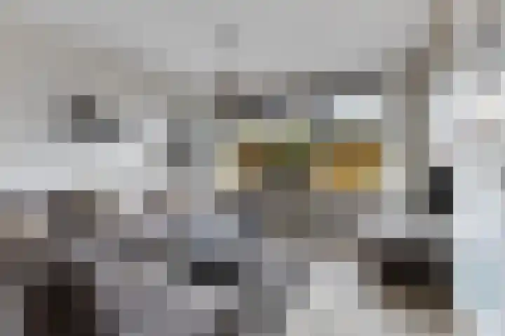 Sleutelkenswei 14 Goes thumbnail 10