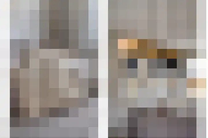 Sleutelkenswei 14 Goes thumbnail 22