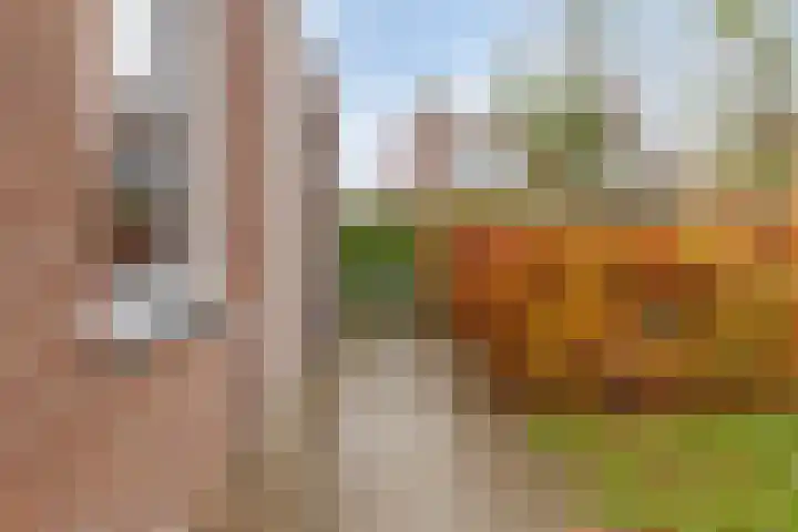 Sleutelkenswei 14 Goes thumbnail 46