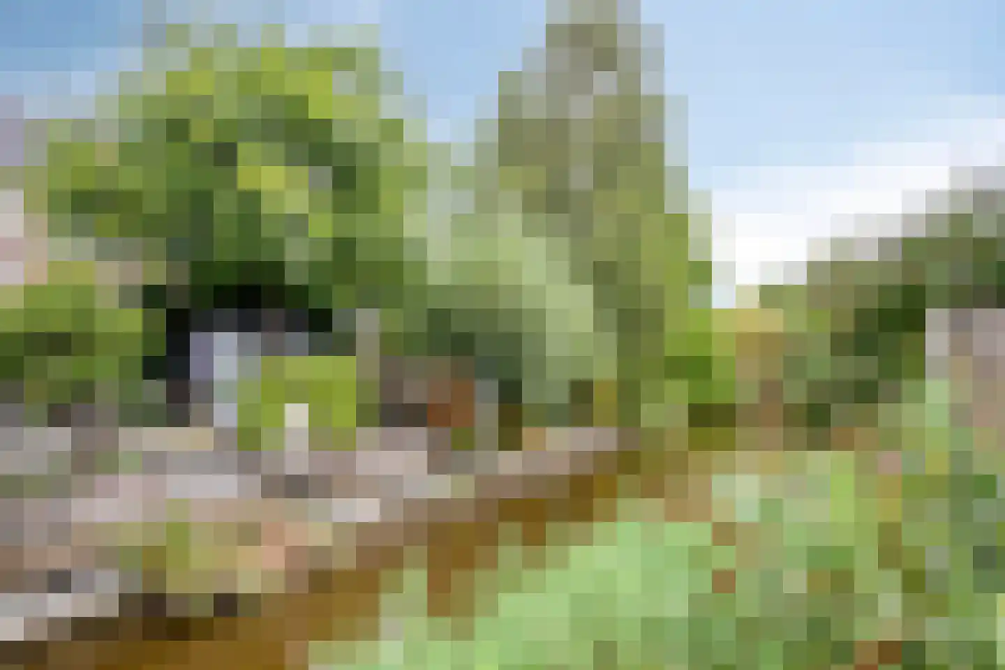 Sleutelkenswei 25 Goes thumbnail 38