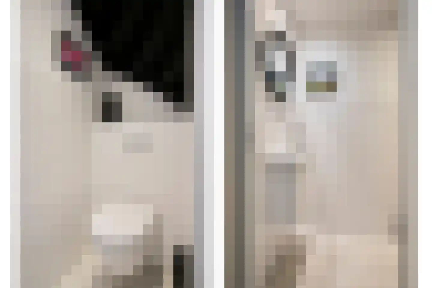 Sleutelkenswei 25 Goes thumbnail 7