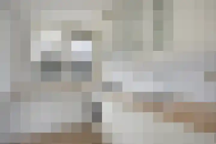 Sleutelring 19 Rotterdam thumbnail 13