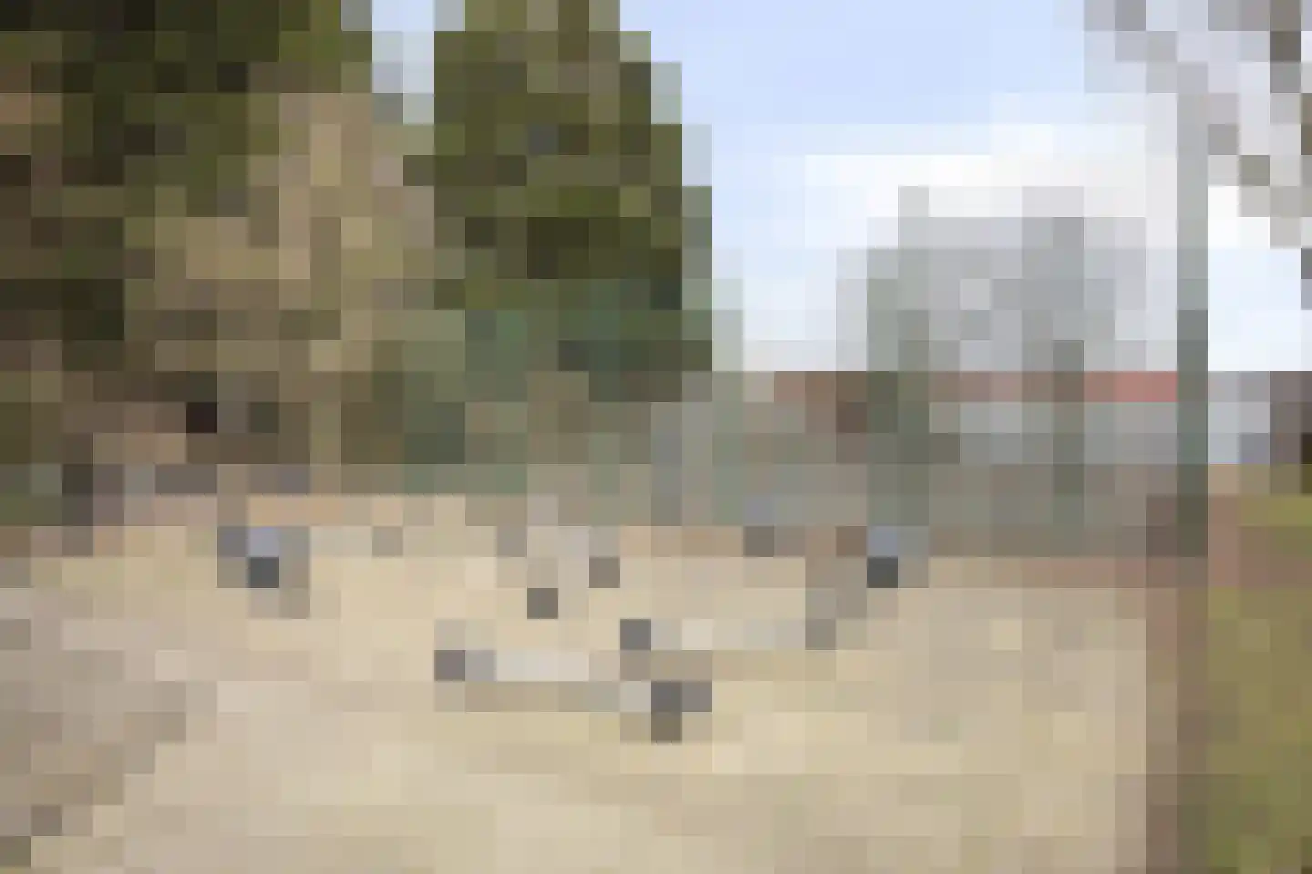 Sleutelring 19 Rotterdam thumbnail 35