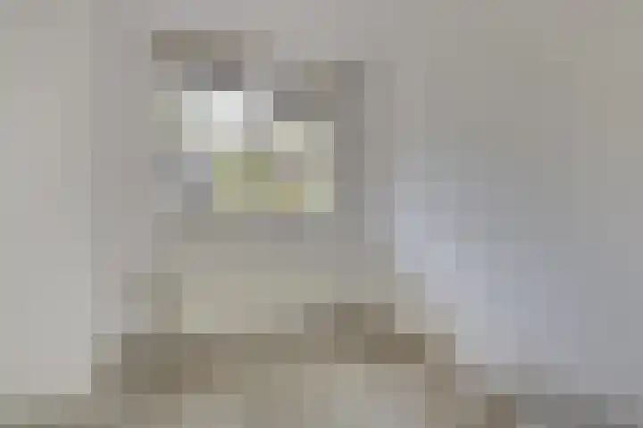 Sleutelring 6 Rotterdam thumbnail 12