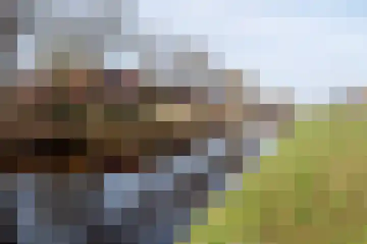 Sleutelring 6 Rotterdam thumbnail 19