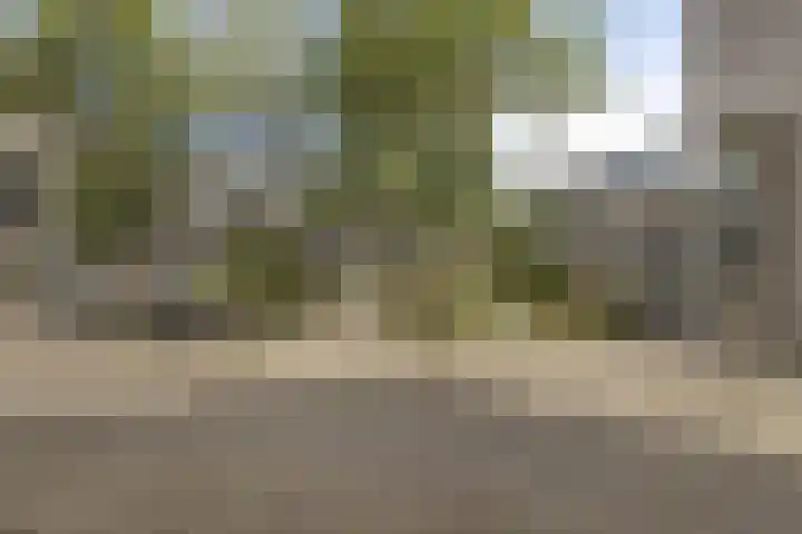 Sleutelring 6 Rotterdam thumbnail 19