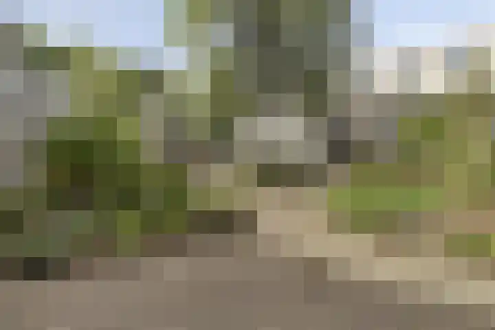 Sleutelring 6 Rotterdam thumbnail 5