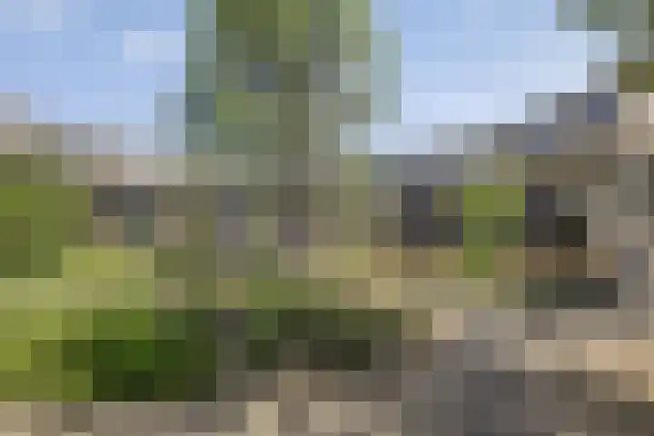 Sleutelring 7 in Rotterdam