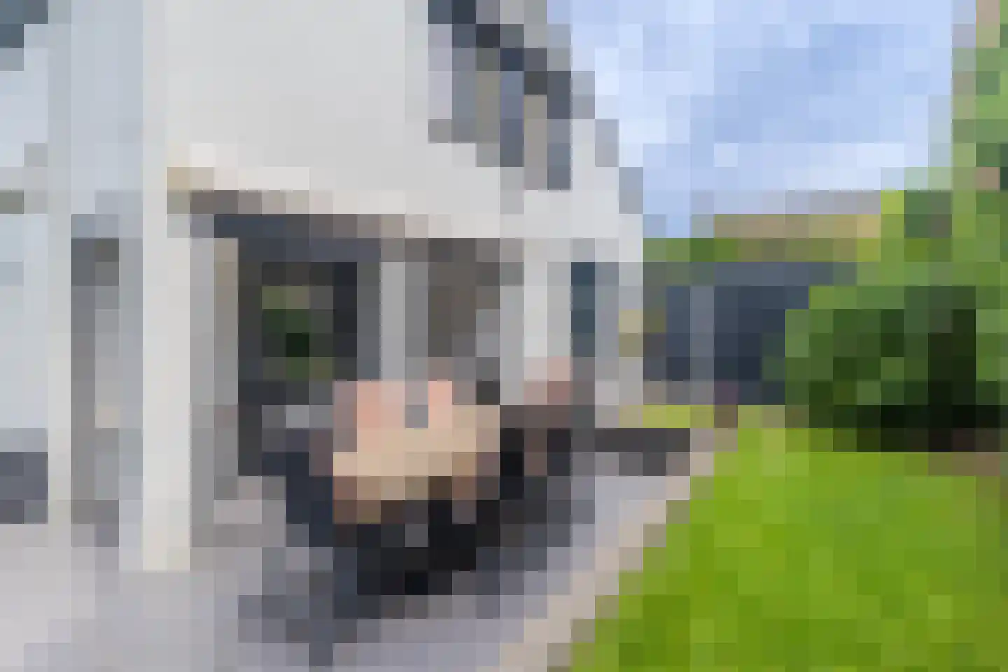 Sleutelweg 7 Bemelen thumbnail 14