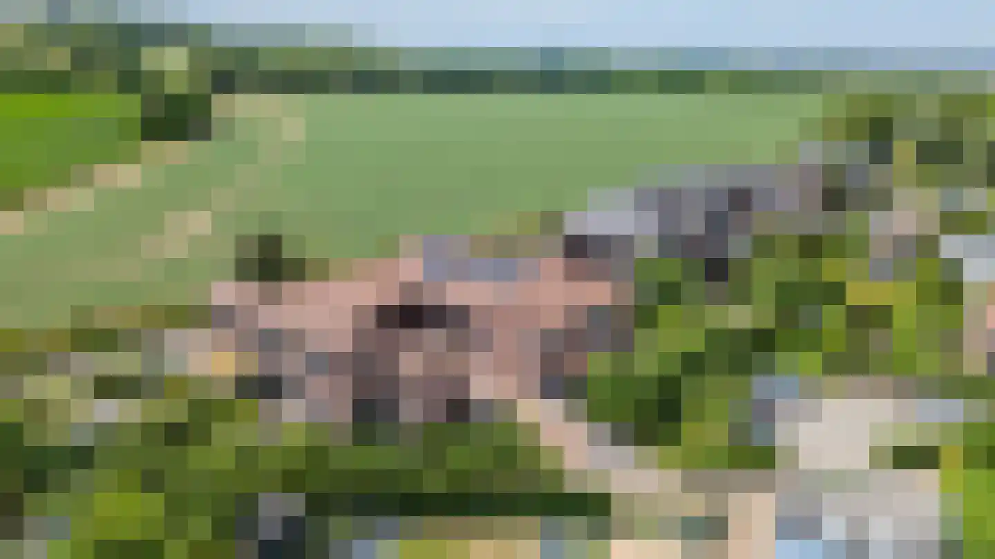 Sleutelweg 7 Bemelen thumbnail 37