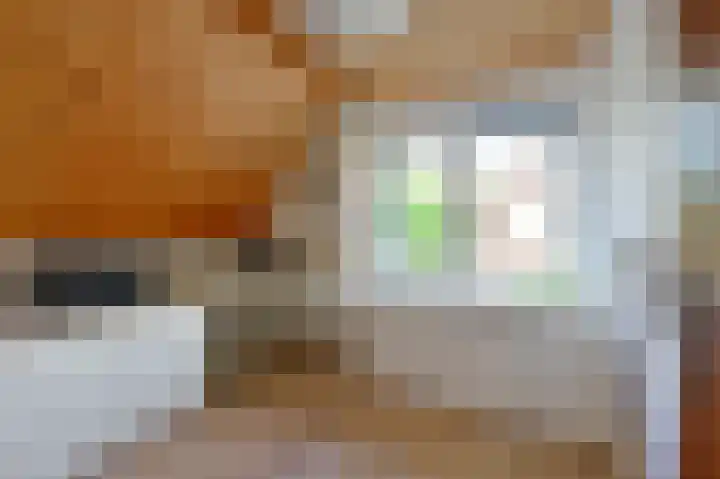 Slichtenhorsterweg 48 Nijkerk thumbnail 14
