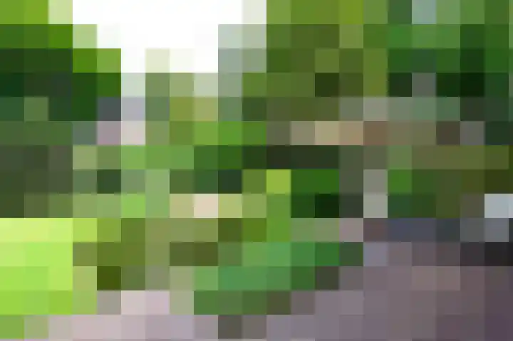 Slichtenhorsterweg 48 Nijkerk thumbnail 22