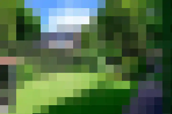 Slichtenhorsterweg 48 Nijkerk thumbnail 23