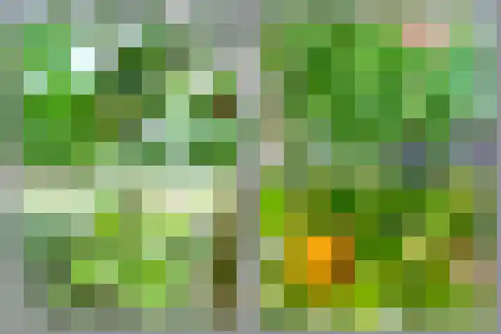 Slichtenhorsterweg 48 Nijkerk thumbnail 25
