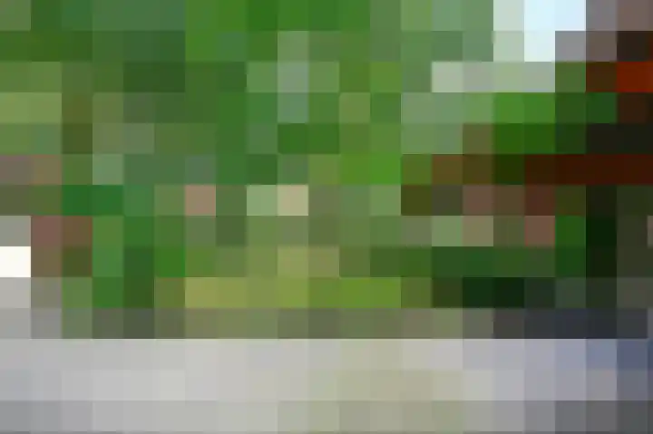 Slichtenhorsterweg 48 Nijkerk thumbnail 26