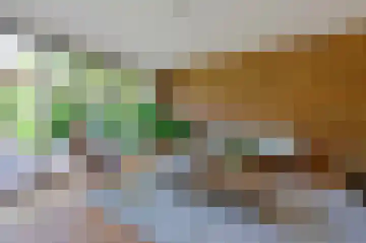Slichtenhorsterweg 48 Nijkerk thumbnail 8
