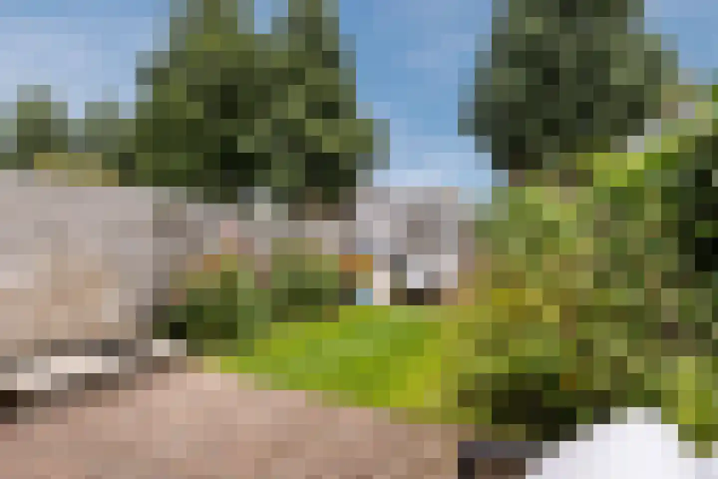 Slichtenhorststraat 18 Amsterdam thumbnail 12