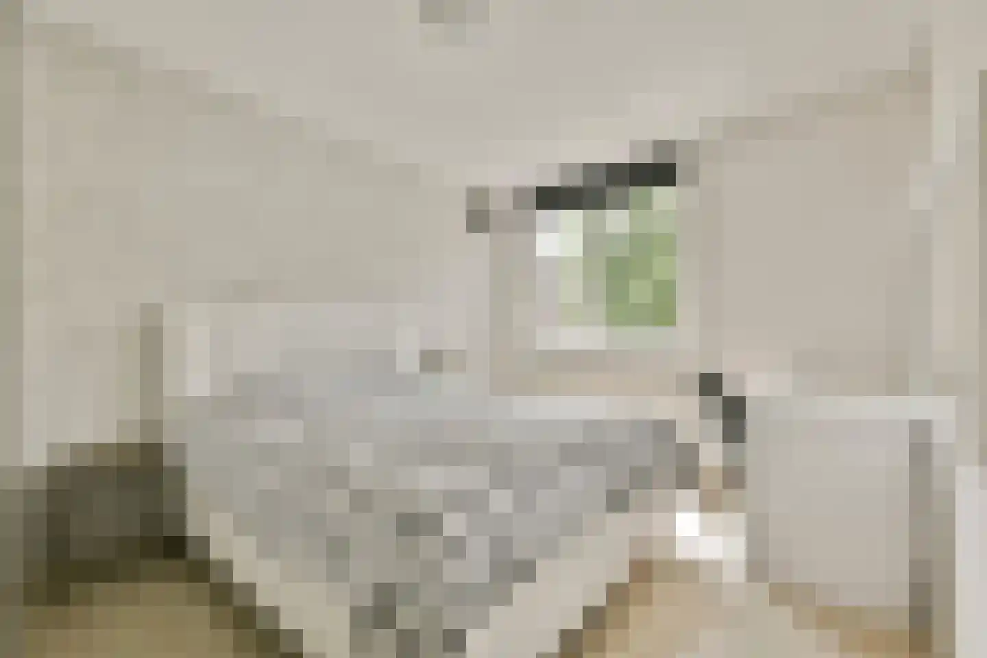 Slichtenhorststraat 31 Amsterdam thumbnail 10