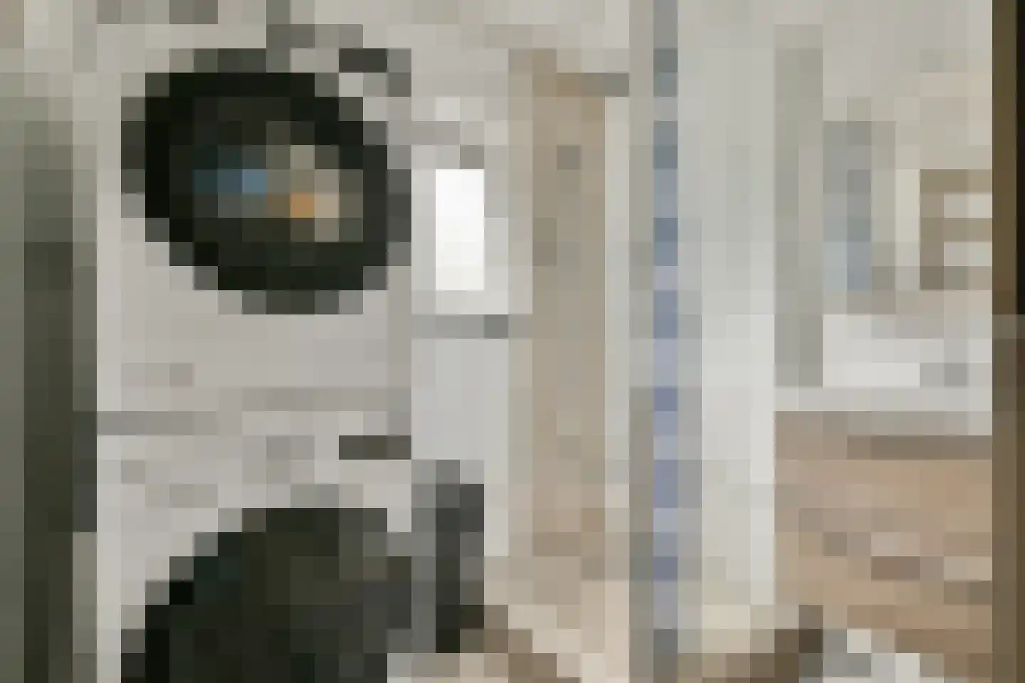 Slichtenhorststraat 31 Amsterdam thumbnail 13