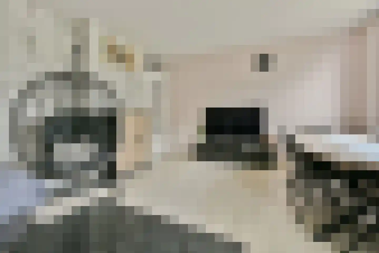 Slichtenhorststraat 31 Amsterdam thumbnail 6