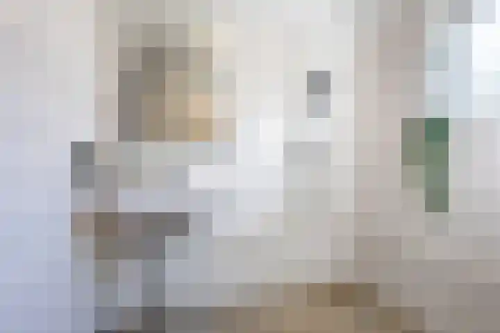 Slichtenhorststraat 41 Amsterdam thumbnail 24